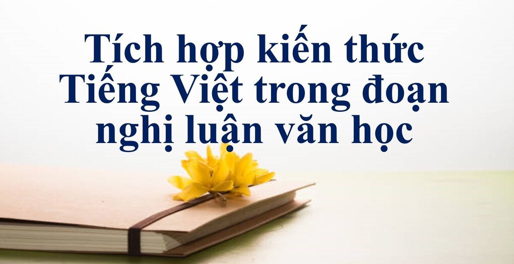 Tích hợp kiến thức Tiếng Việt trong đoạn nghị luận văn học